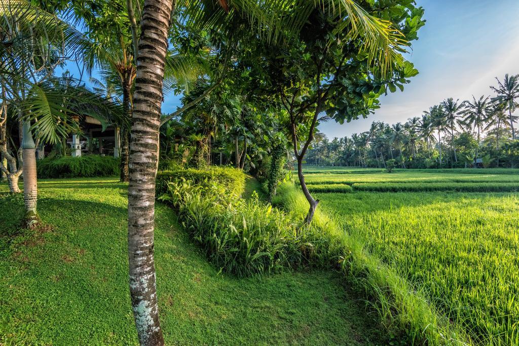 Villa Sabandari Ubud Dış mekan fotoğraf